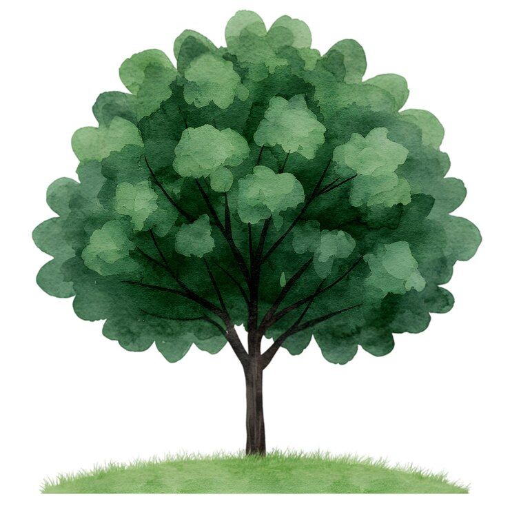 PSD aquarell-grünbaum-illustration handgemalte naturkunstwerke für design und dekor