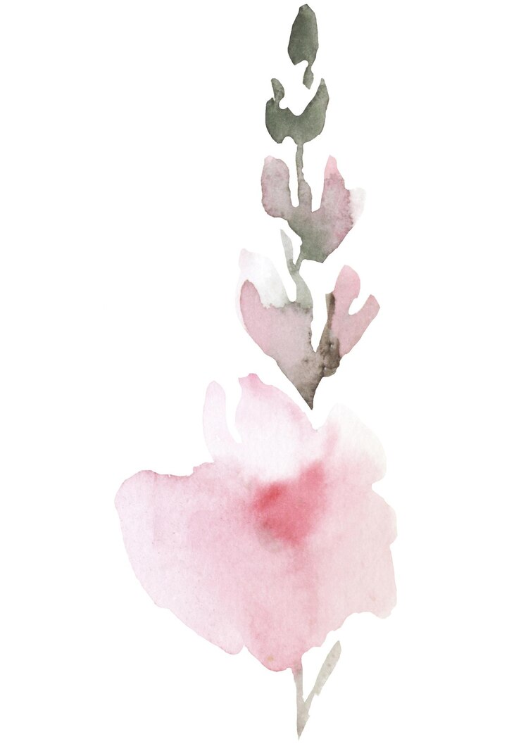 PSD aquarell hellrosa gartenblume isolierte illustration blumen hochzeit und grußelement
