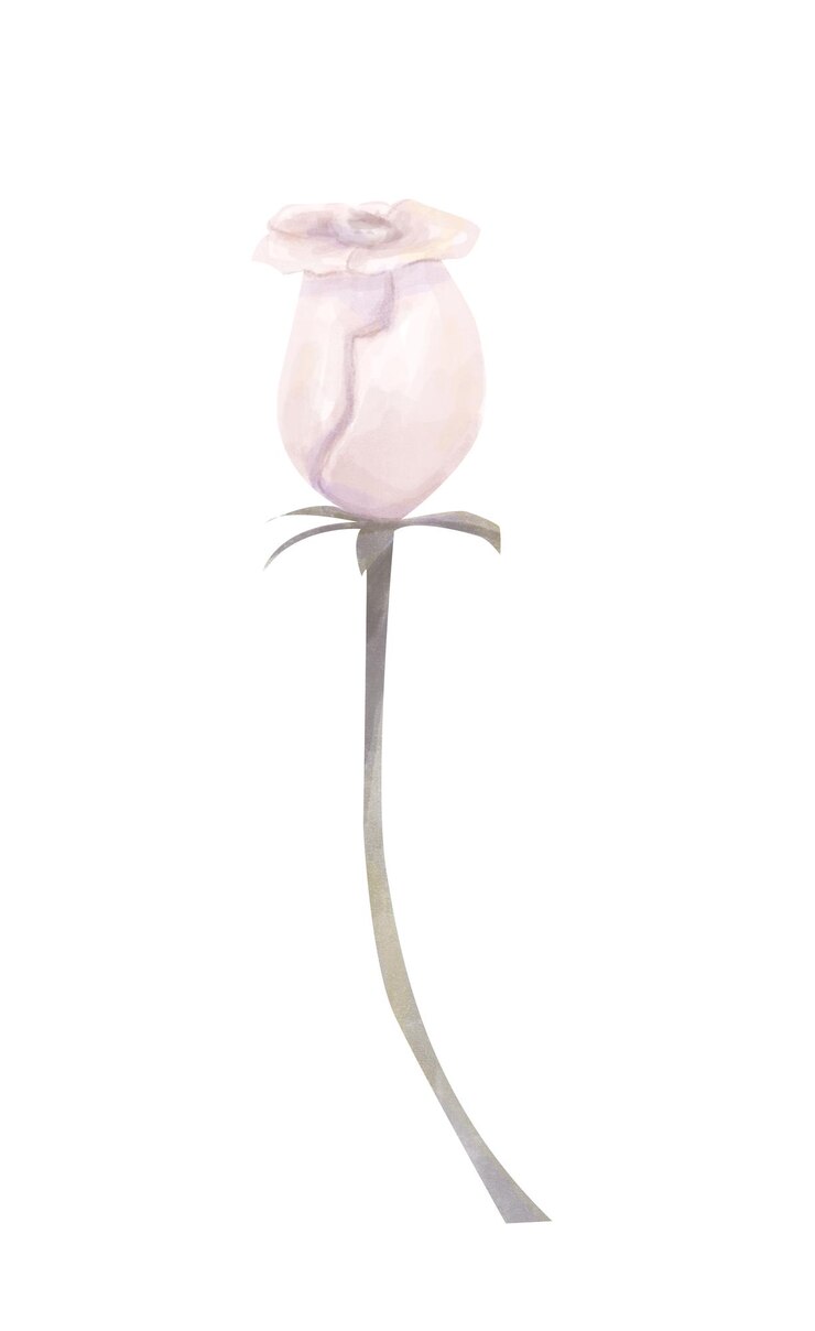 PSD aquarell-illustration blumenrose mit halb offener knospe auf langem stamm delikat alter vintage-stil