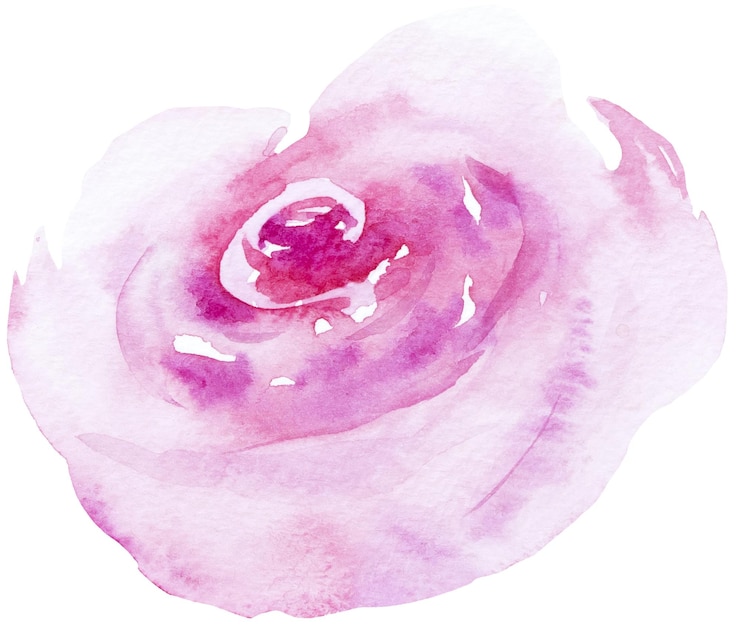 PSD aquarell rosa rosenblume isolierte illustration blumen hochzeit und grußelement