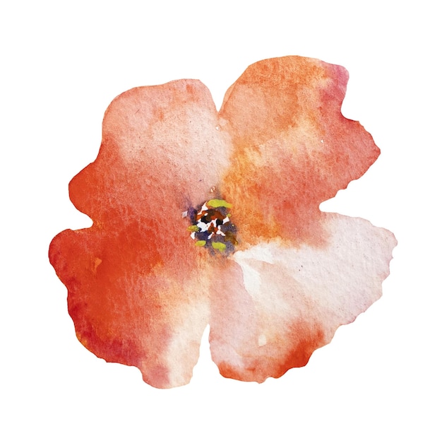 Aquarell rote Wildblume isolierte Illustration Blumen Hochzeit und Begrüßungselement