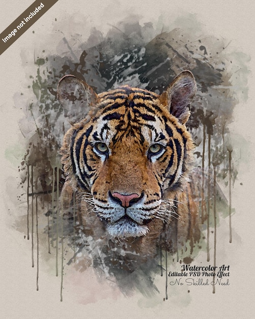 Aquarell Tiger Druck Foto Effekt