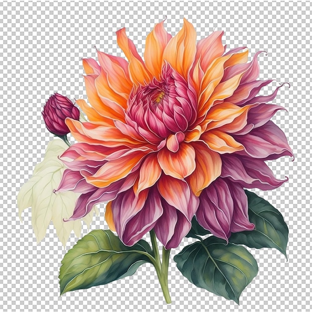 PSD aquarellblume