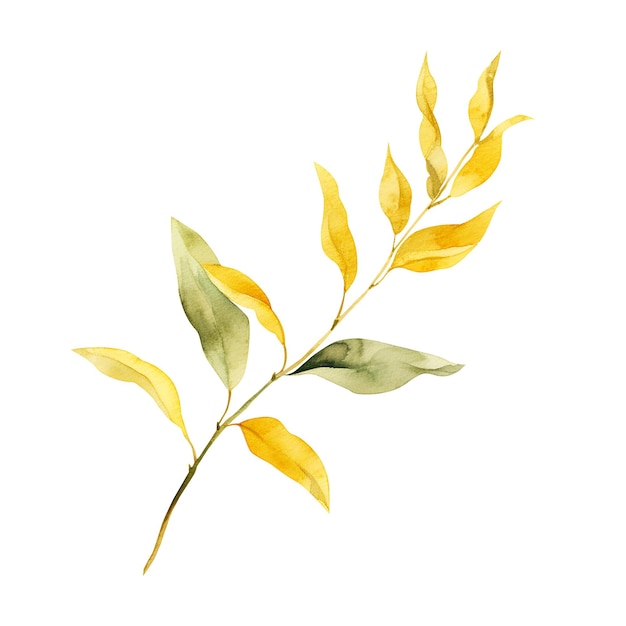 Aquarelle de branche de plante d'automne jaune isolée sur fond blanc Conception d'éléments botaniques