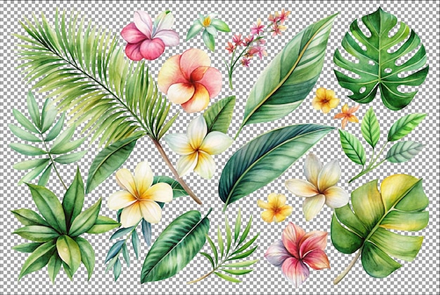 Aquarelle des branches de printemps tropicales à fond vert floral