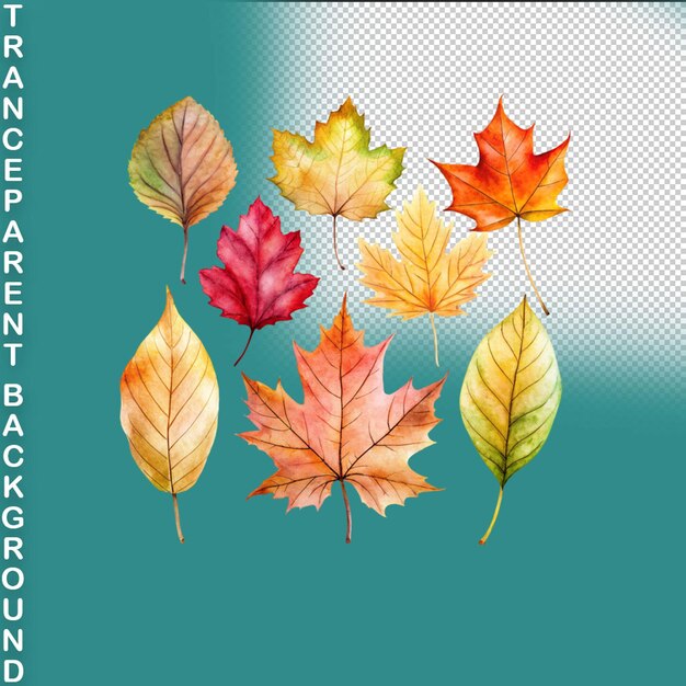 PSD aquarelle colorée dessinée à la main feuilles d'automne sur fond transparent