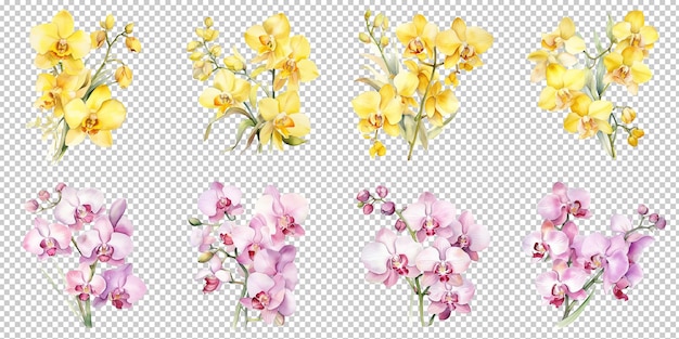 PSD aquarelle fleurs d'orchidée de lune jaune et de lune rose