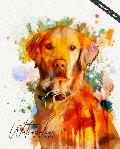 PSD une aquarelle d'un golden retriever avec les mots golden retriever sur le devant.