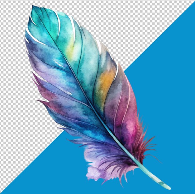 PSD aquarelle à plumes sur fond transparent