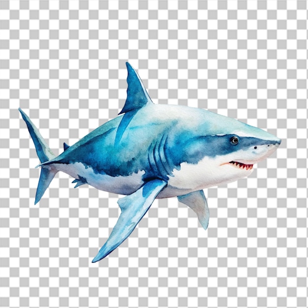 PSD aquarelle de requin en png