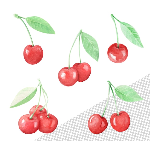 Aquarelle rouge cerises Illustration dessinée à la main
