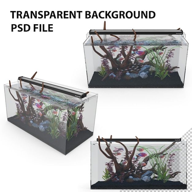 PSD aquarium png