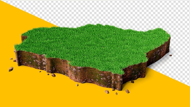 PSD arabia saudita mappa erba e struttura del terreno 3d illustrazione