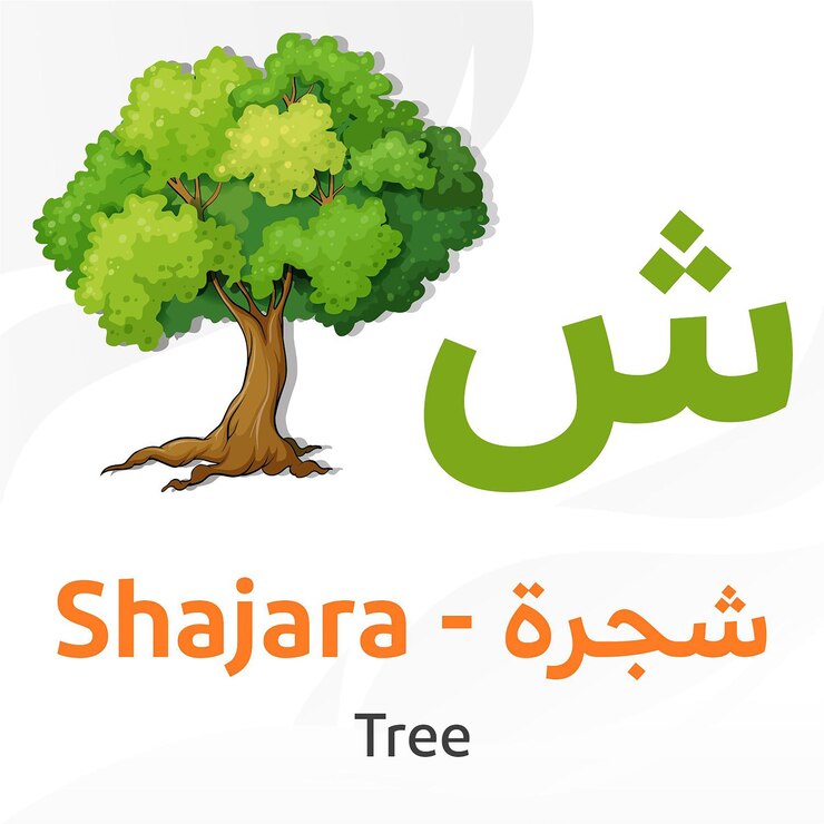 PSD arabic alphabet learn arabic letters tree in arabic characters