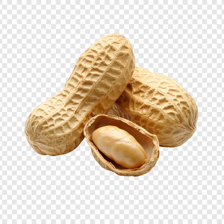 PSD les arachides en coquille se rapprochent de la nourriture saine