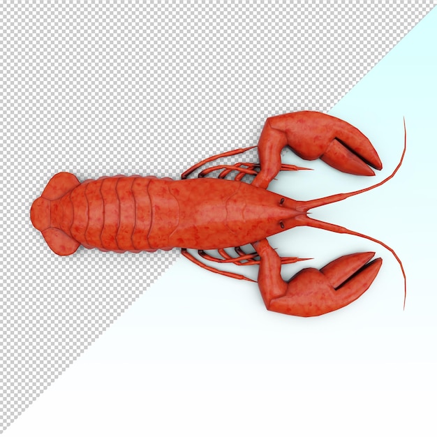 Aragosta isolata