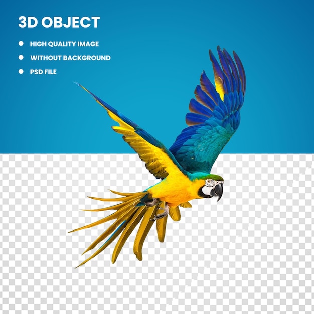 Arara 3d amarela e azul