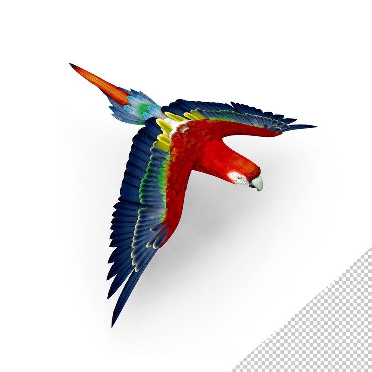 PSD arara escarlate png