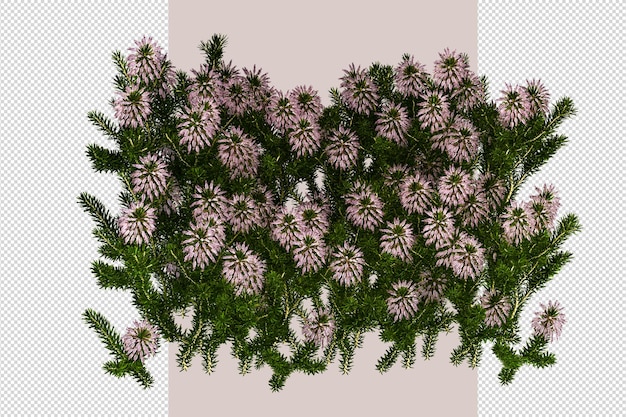 árbol, en, 3d, interpretación, aislado