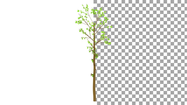 Árbol de abies alba sin sombra 3d render