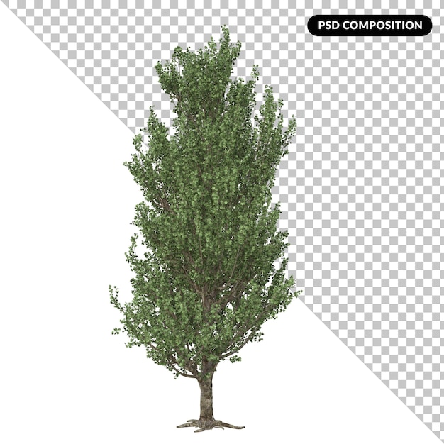 PSD Árbol aislado 3d