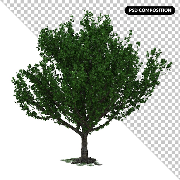 Árbol aislado 3d