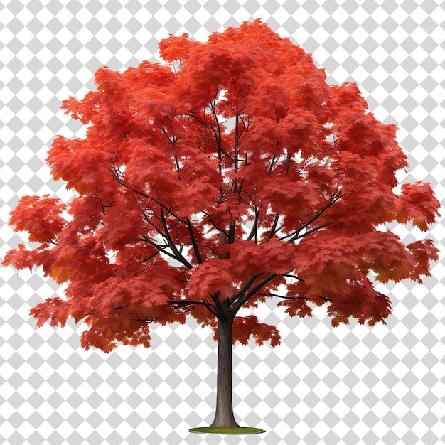 PSD Árbol aislado en formato de archivo png de fondo transparente