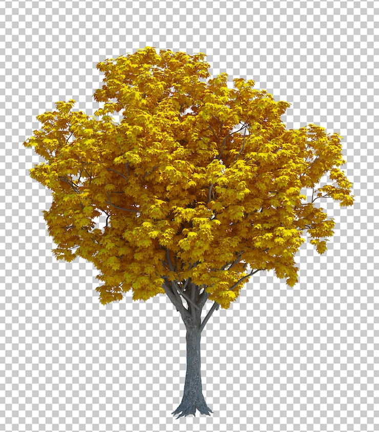 PSD árbol aislado