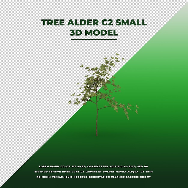 Árbol alder 3d modelo aislado