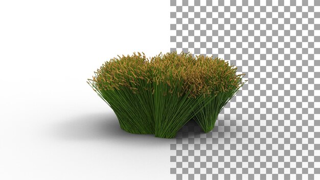 Árbol de arroz otoñal con sombra 3D Render