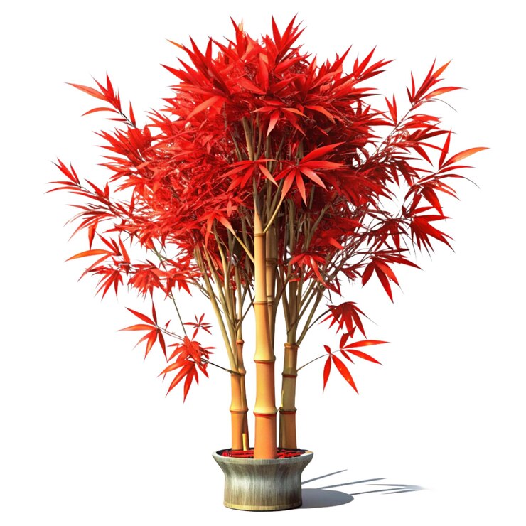 PSD árbol de bambú dragón rojo sobre un fondo transparente