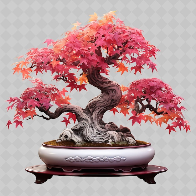Árbol de bonsai de arce, olla de porcelana, hojas de palma, tema carmesí, árboles transparentes y diversos.