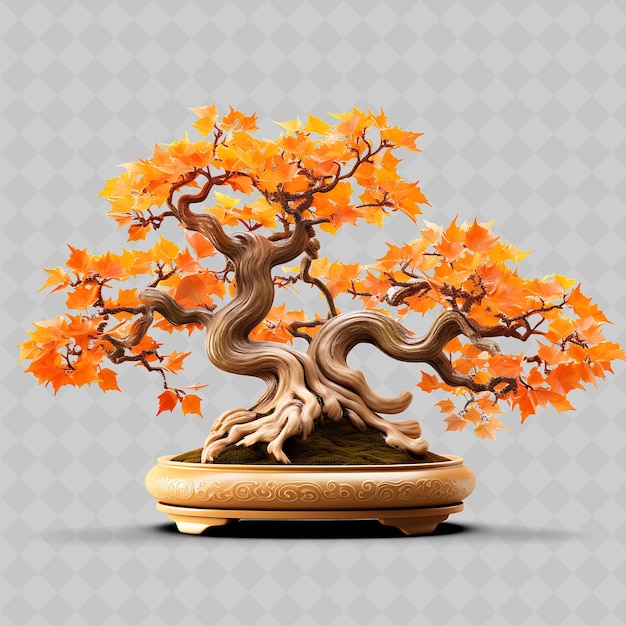 Árbol de bonsai de arce de png olla de porcelana con hojas de lóbulo concepto de armonía transparente decoración de árboles diversos