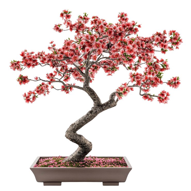 PSD un árbol de bonsai con flores rosas en una olla