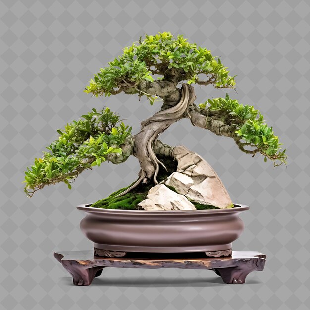 PSD un árbol de bonsai con una olla de bonsai en una mesa