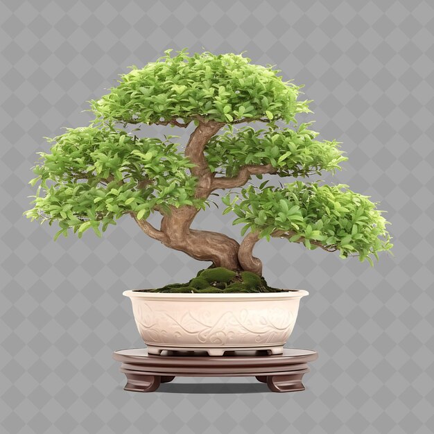 Un árbol de bonsai con una olla de bonsai en él