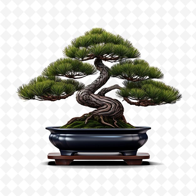 PSD un árbol de bonsai está en una olla con un fondo blanco