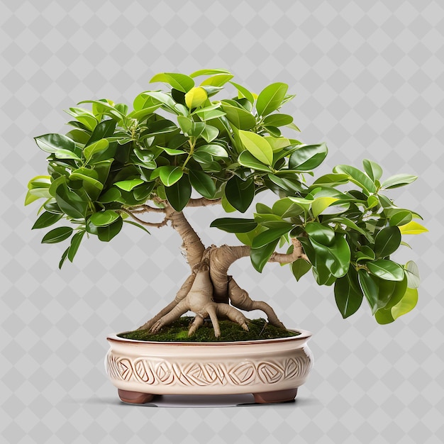 PSD un árbol de bonsai con un patrón de hojas en él