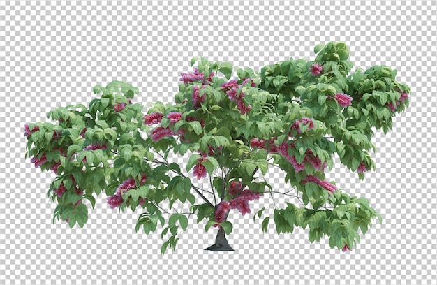 Árbol de cepillo de render 3D aislado