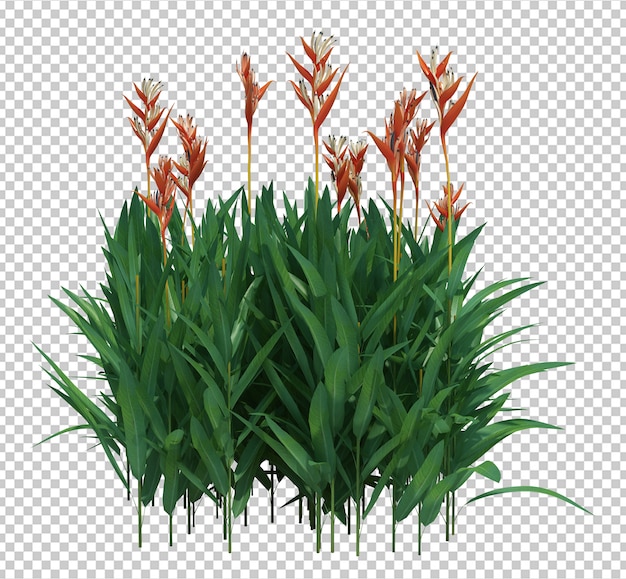 Árbol de cepillo de render 3D aislado
