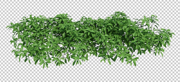 Árbol de cepillo de render 3d aislado