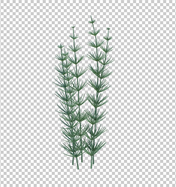 Árbol de cepillo de render 3D aislado