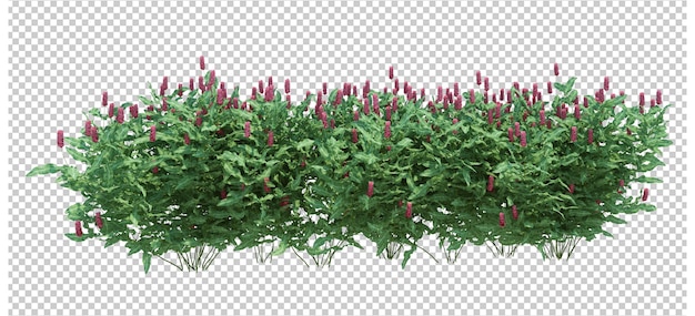 Árbol de cepillo de render 3D aislado
