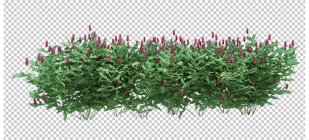 Árbol de cepillo de render 3d aislado