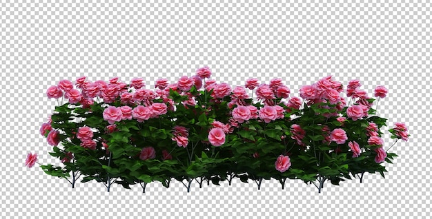 Árbol de cepillo de render 3D aislado
