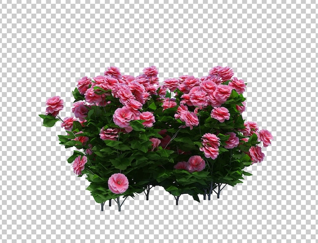 Árbol de cepillo de render 3D aislado