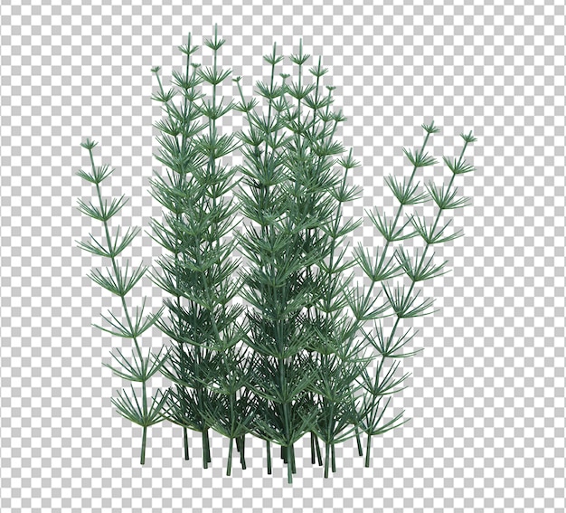 Árbol de cepillo de renderizado 3d aislado