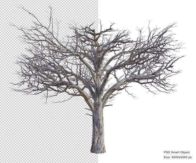 Árbol espeluznante aislado render 3d