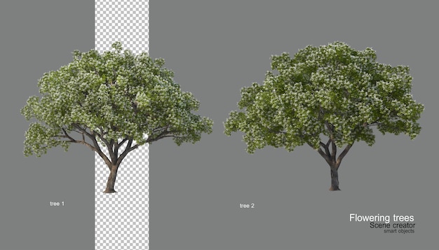 Un árbol con flores de varios colores.