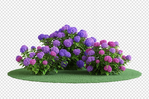 Árbol de hortensias y hierba de varias formas.